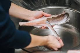Cara Mengolah Kulit Ikan Menjadi Bahan Baku Berkualitas