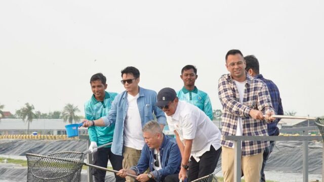 Menteri Kelautan dan Perikanan, Sakti Wahyu Trenggono, Bersama Utusan Khusus Presiden Bidang Pembinaan Generasi Muda dan Pekerja Seni, Raffi Ahmad Meninjau Lokasi Modeling Budidaya Nila Salin (BINS) di Karawang
