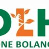 DLH Bone Bolango